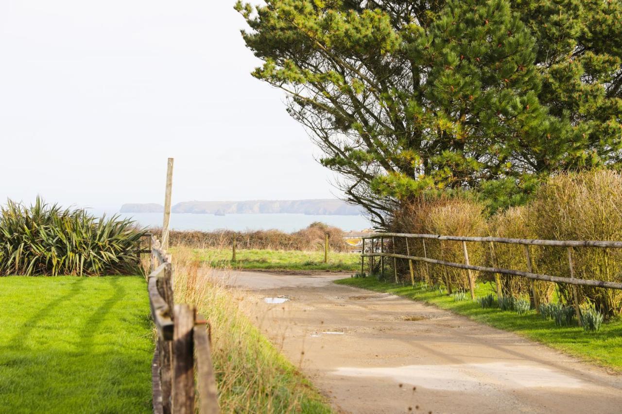 Northlight, Port Isaac Bay Holidays Ngoại thất bức ảnh